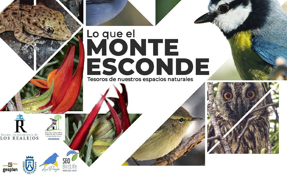 Exposición fotográfica itinerante y talleres sobre las aves en Los Realejos