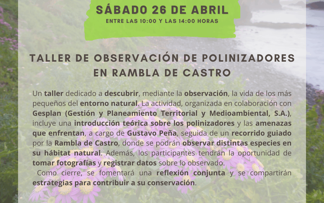 Taller de observación de polinizadores en Rambla de Castro