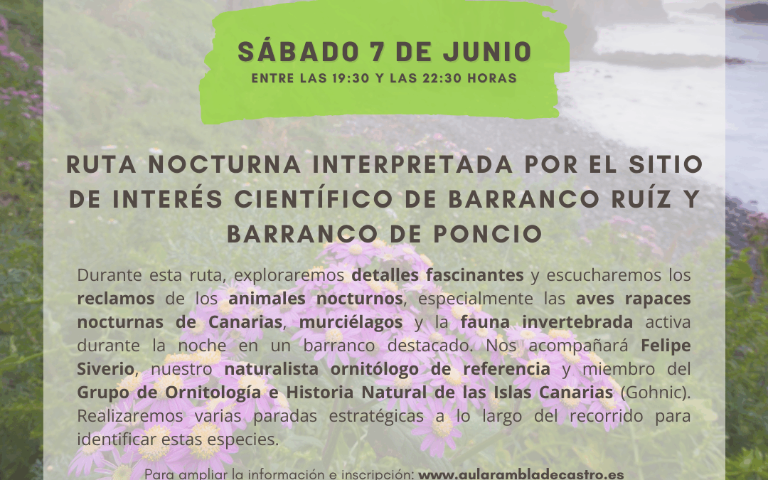 Ruta nocturna interpretada por el Sitio de Interés Científico de Barranco Ruíz y barranco de Poncio