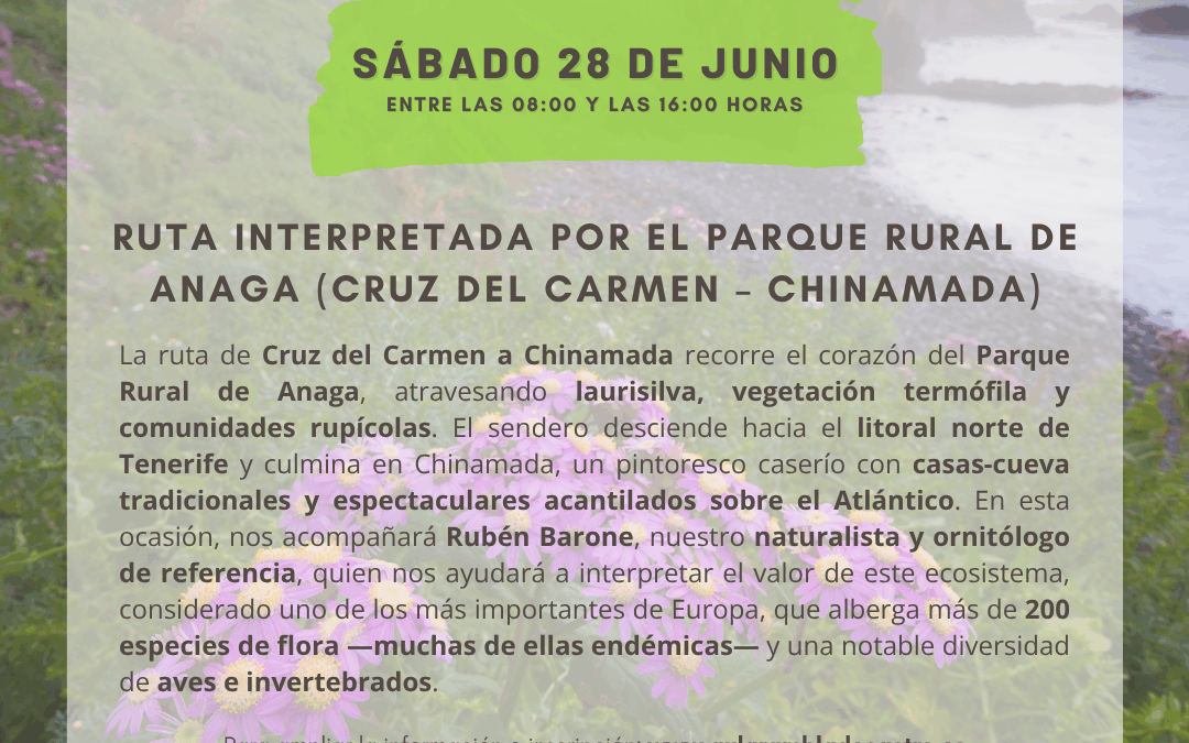 Ruta interpretada por el Parque Rural de Anaga (Cruz del Carmen – Chinamada)