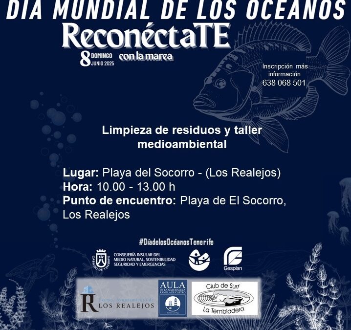 Día mundial de los oceanos; limpieza de residuos en la playa del Socorro
