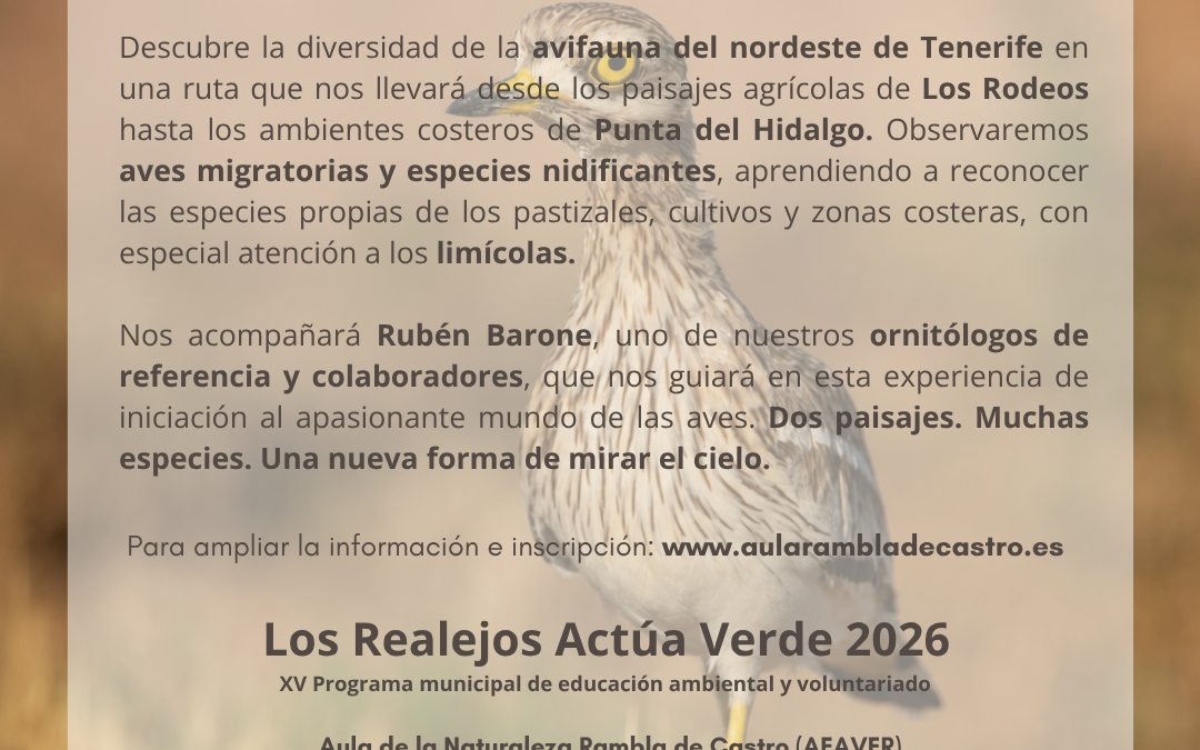 “Miradas al cielo: iniciación al mundo de las aves”